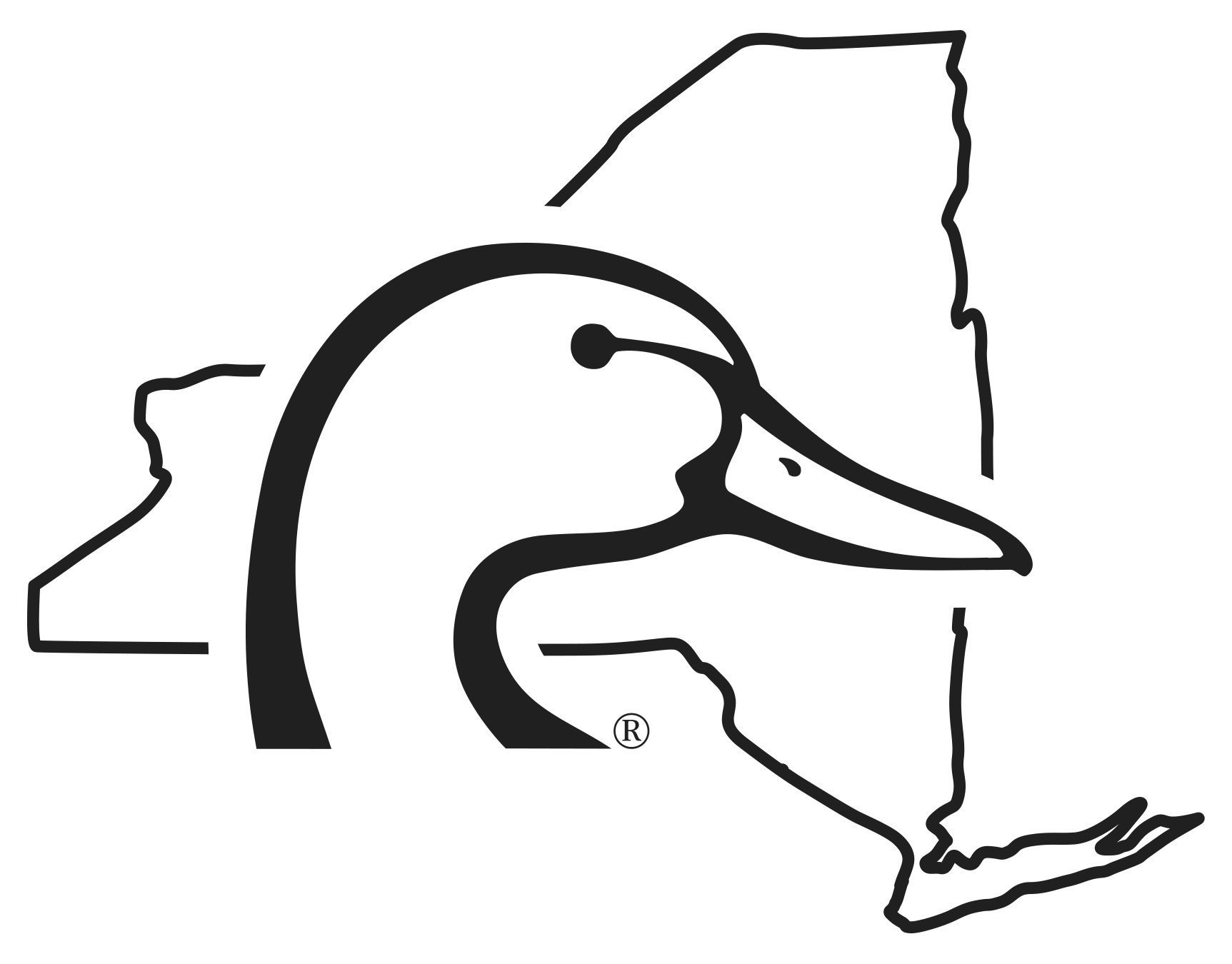 New York DU Logo