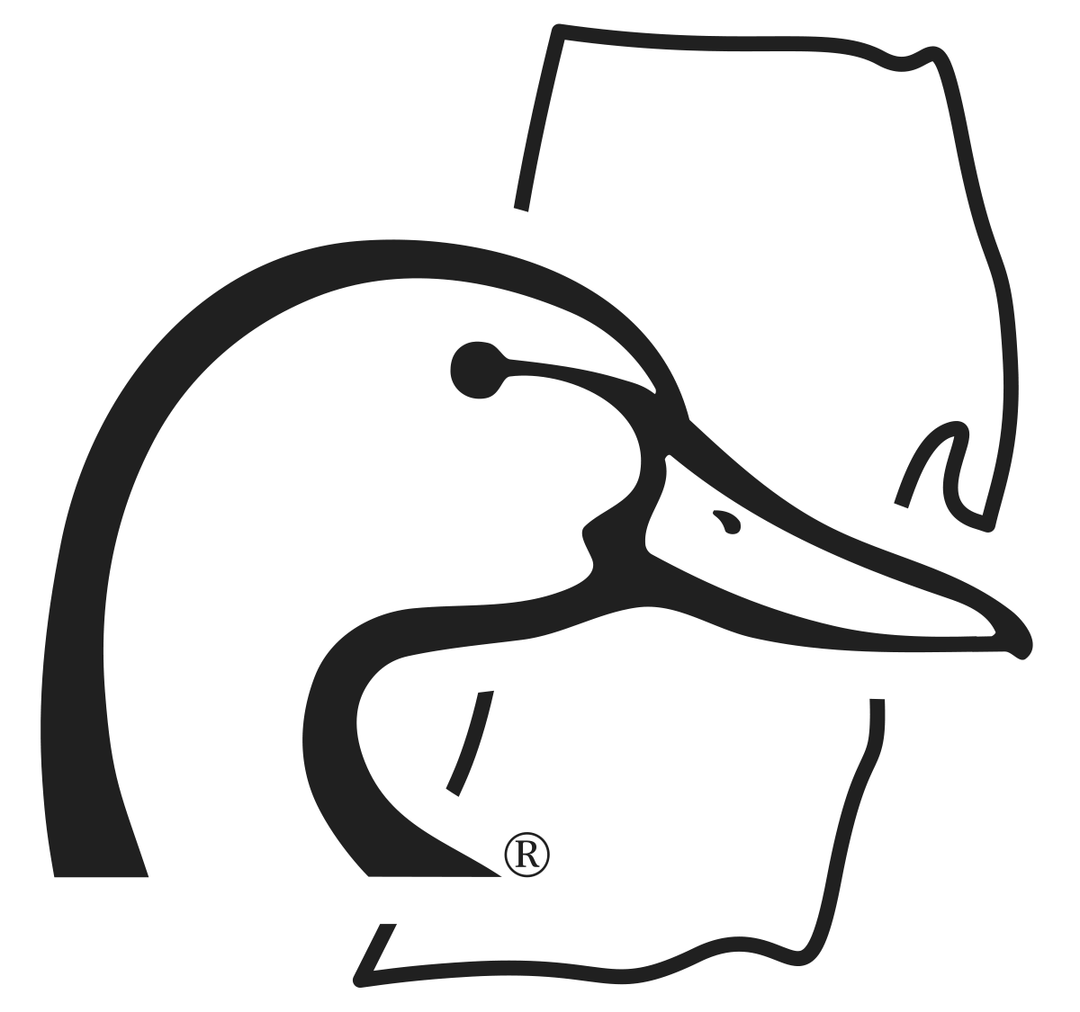 Rhode Island DU Logo
