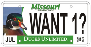 Missouri DU License Plate 2013