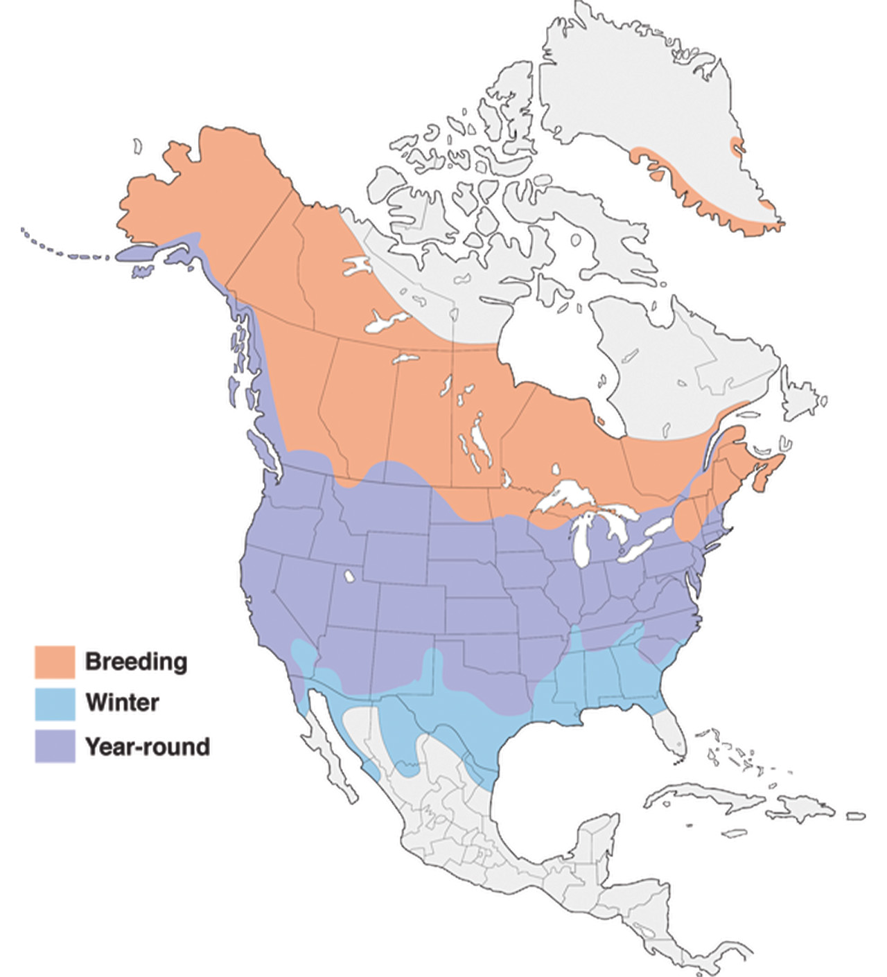Mallard-Range-Map.jpg