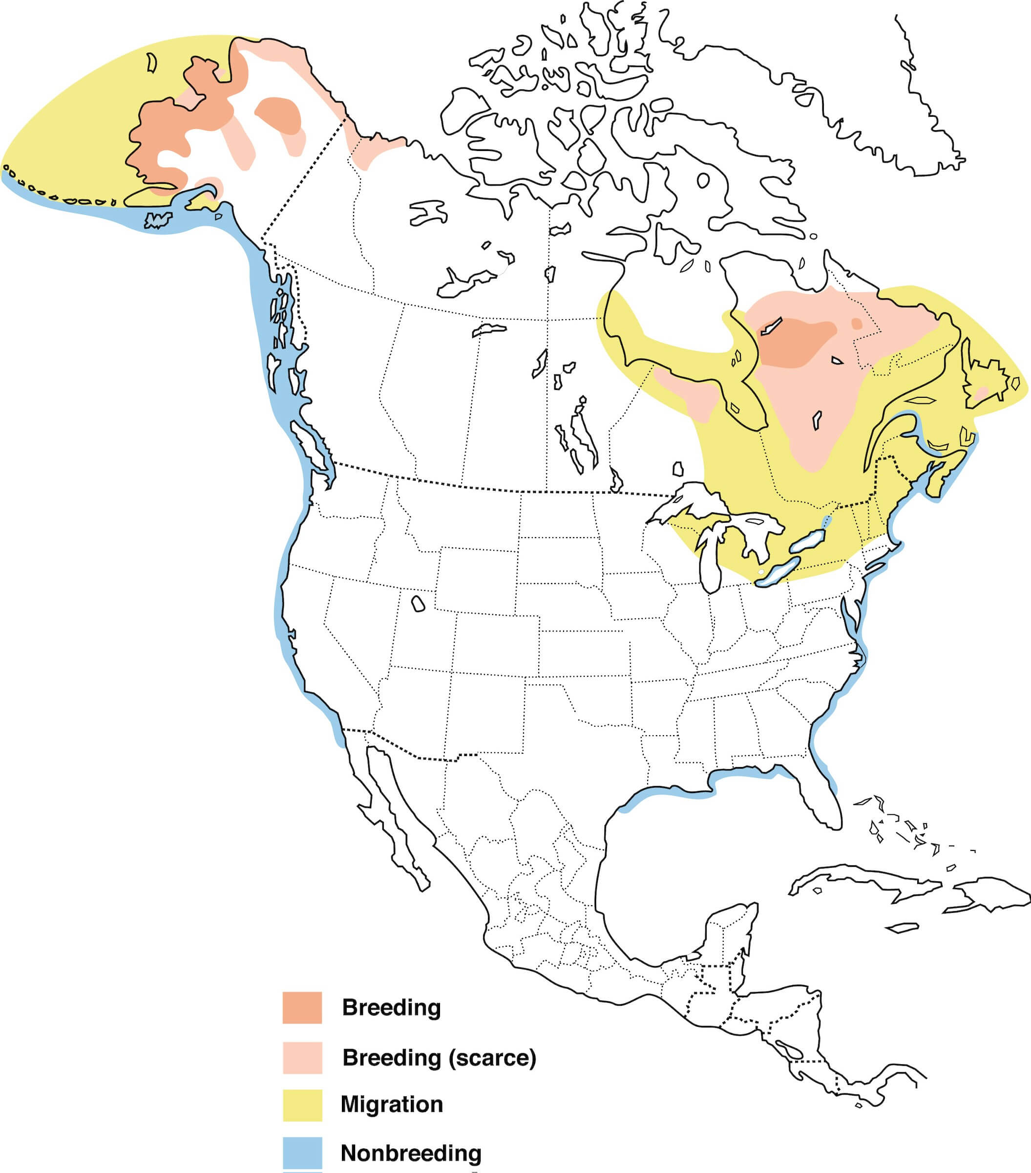 black-scooter-migration-map.jpeg
