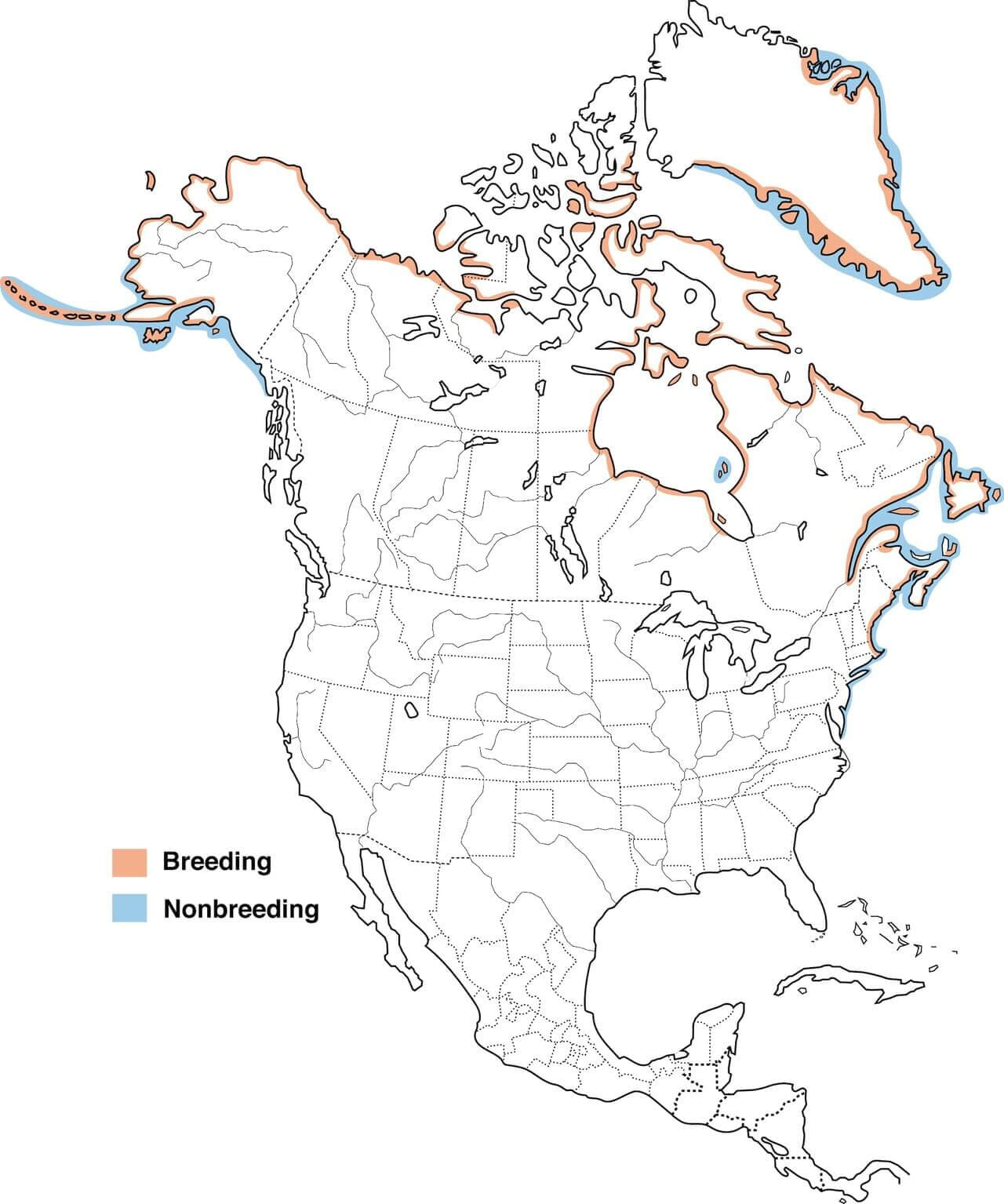 common-eider-migration-map.jpg