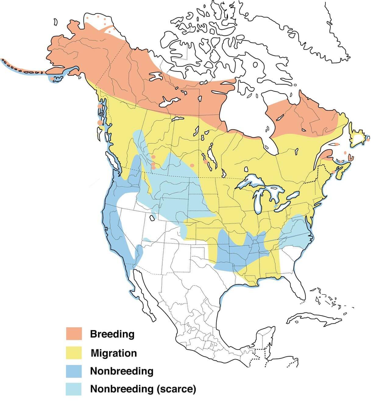 greater-scaup-migration-map.jpg