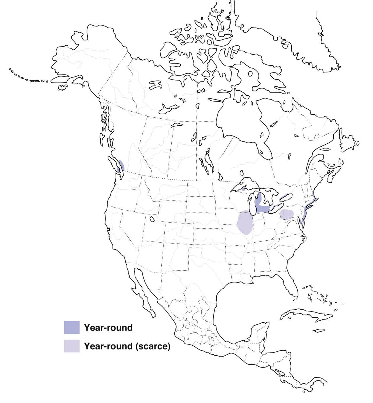 mute-swan-migration-map.jpg
