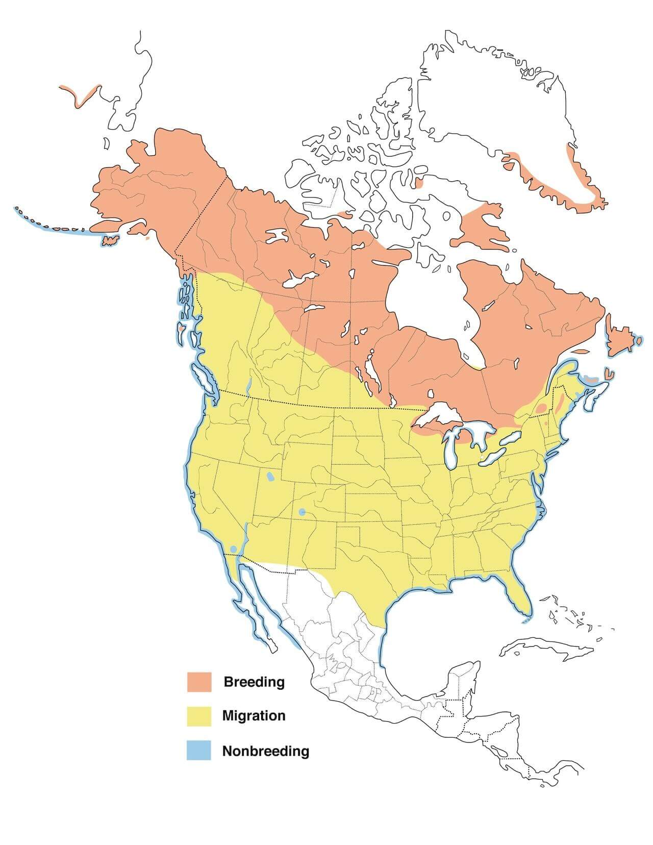 red-breasted-merganser-map.jpg