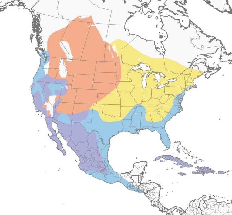 ruddy-guy-migration-map.jpeg