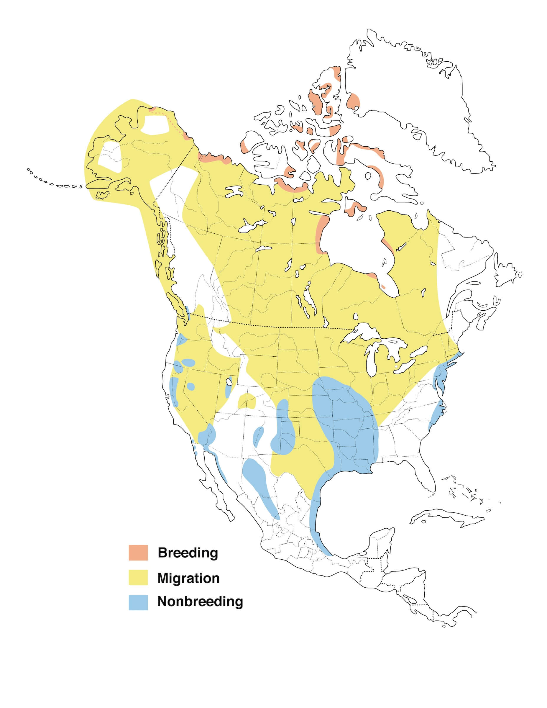 snow-goose-migration-map.jpg