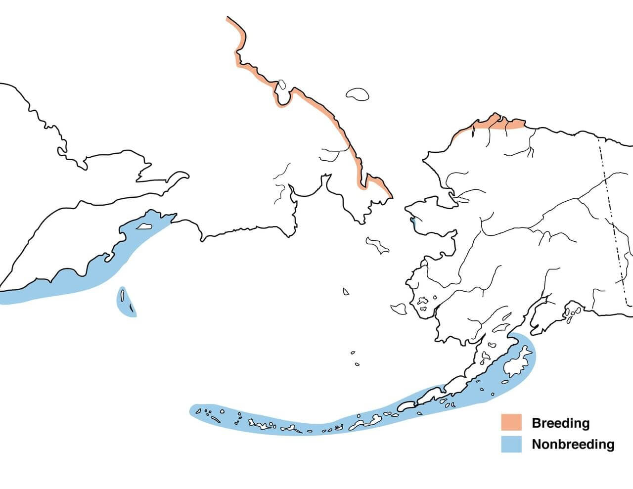 steller-eider-migration-map.jpg