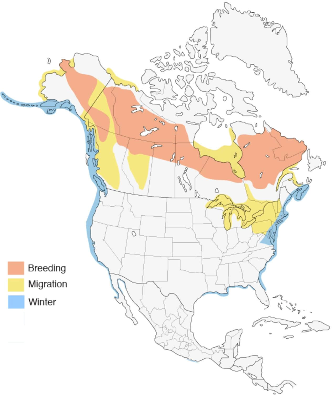 surf-scooter-migration-map.jpg