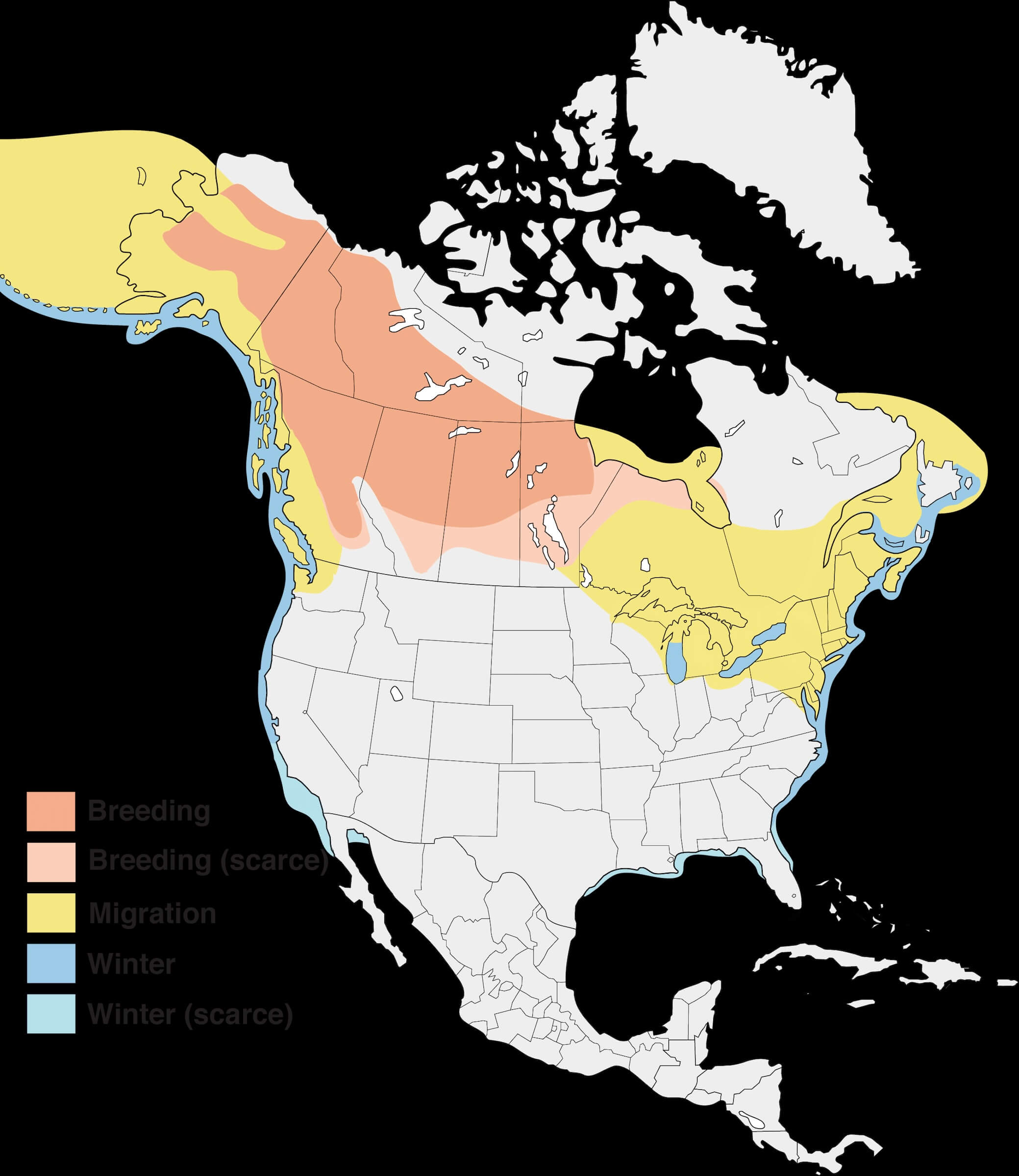white-winged-scoter-map.jpg