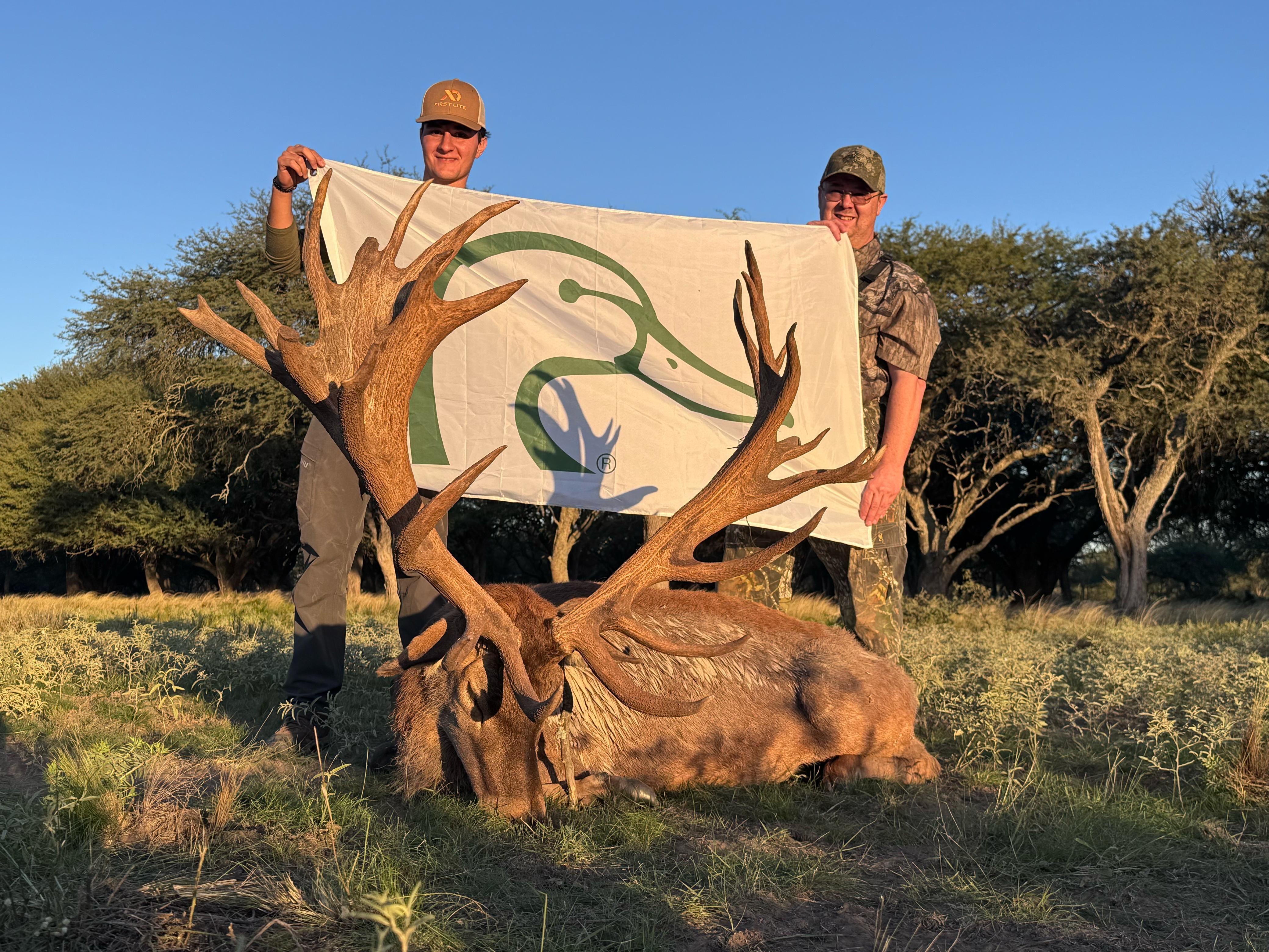DU-Catalenan-Red Stag.jpeg