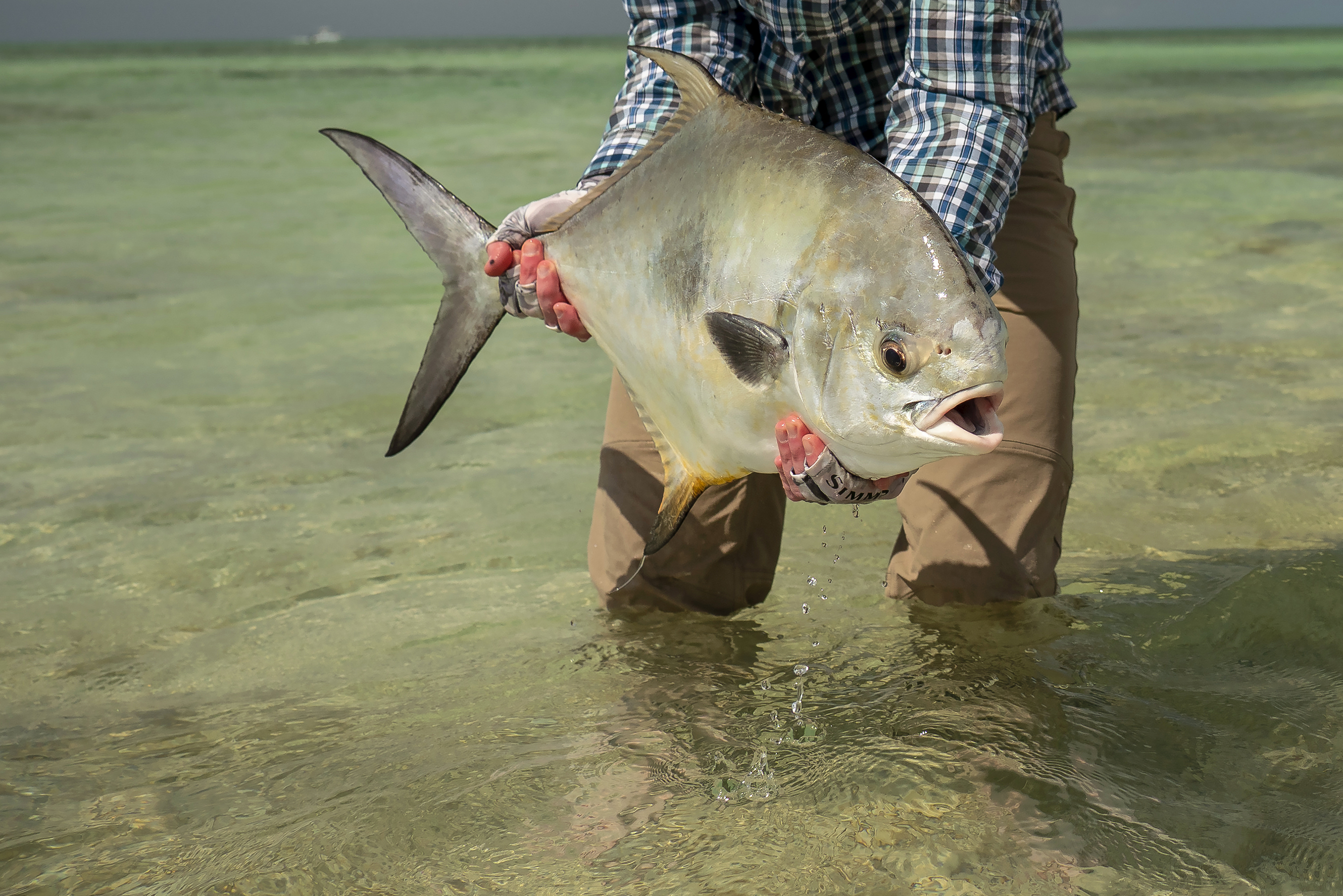 Permit 16.jpg
