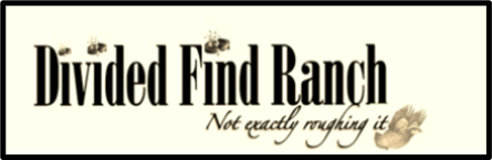 Divided Find Ranch.png