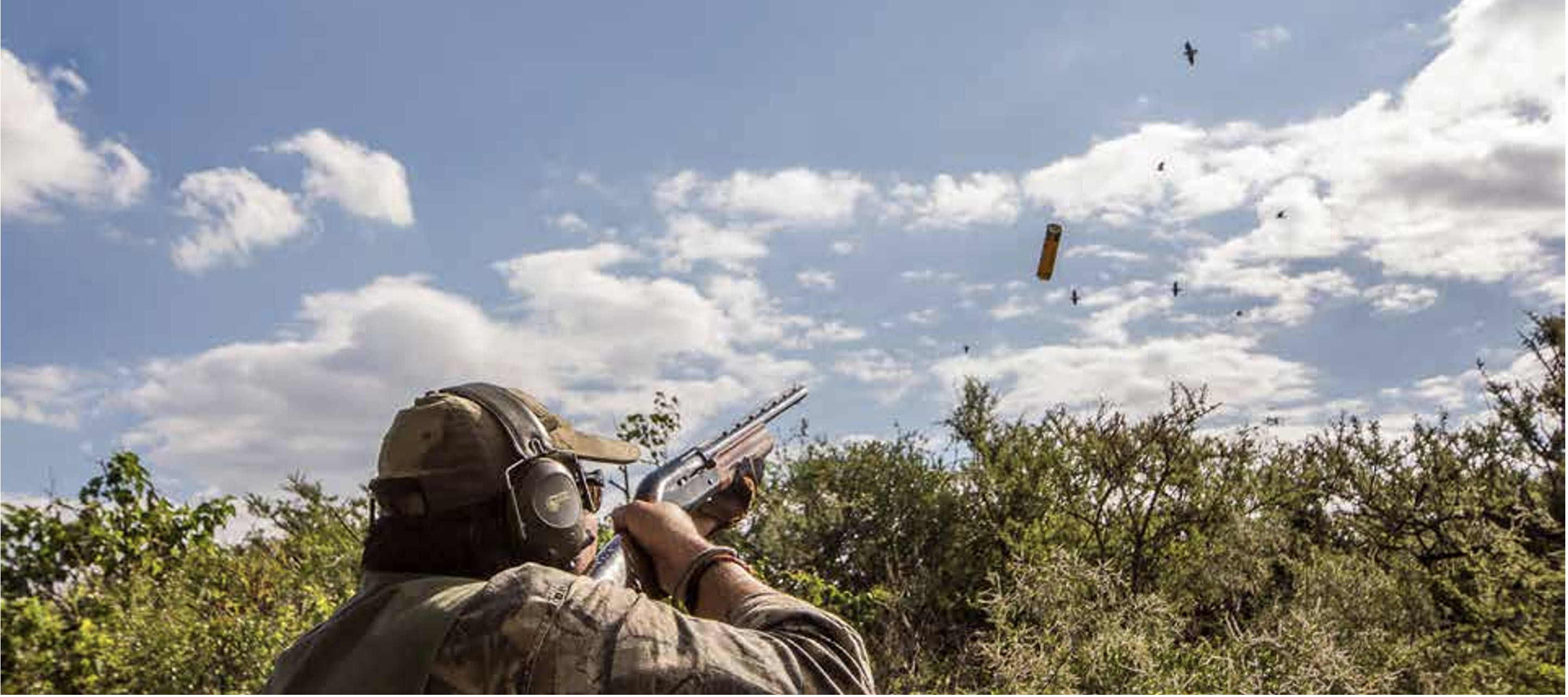 Dove Hunting-1.png