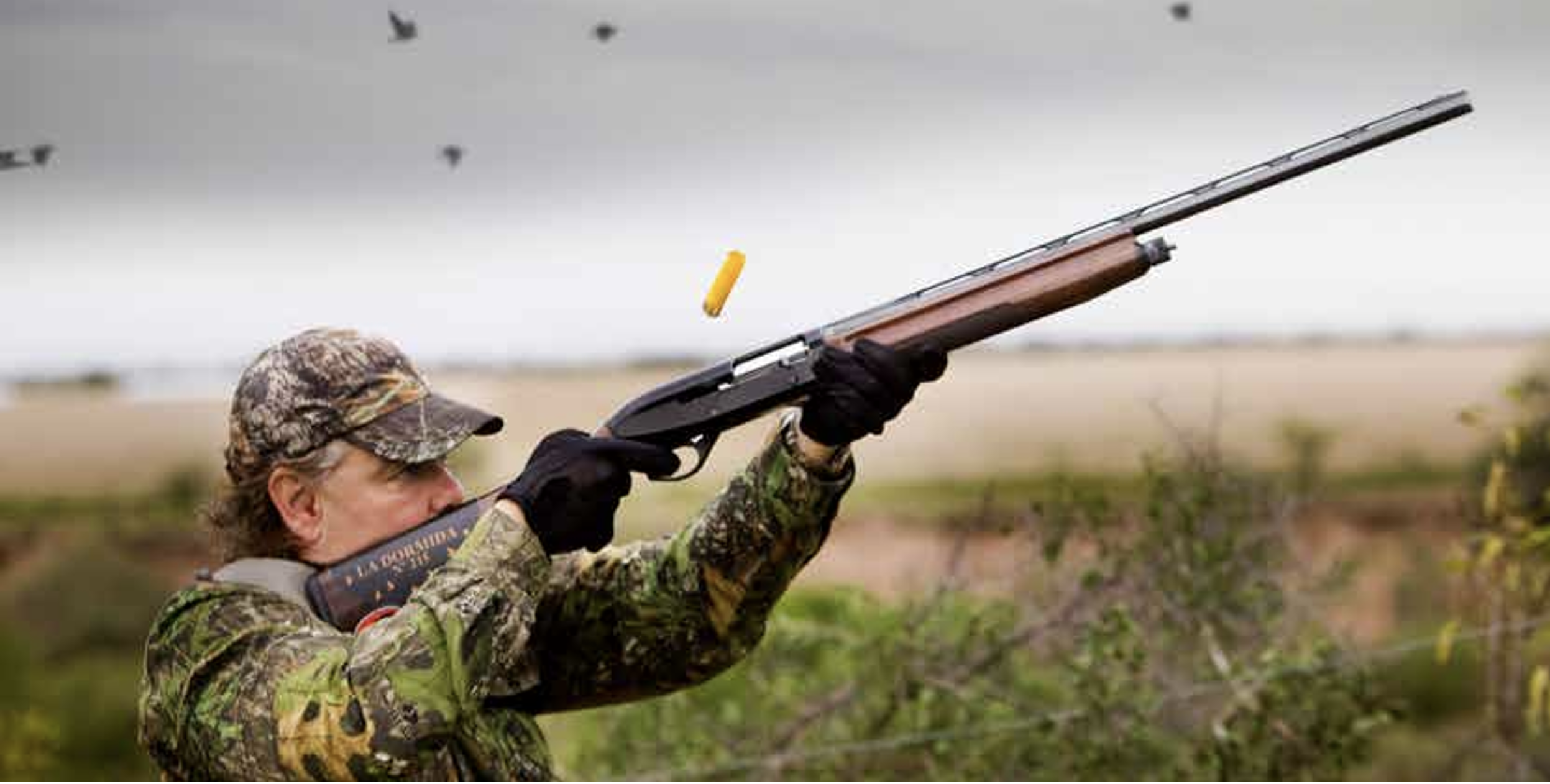 Dove Hunting-3.png