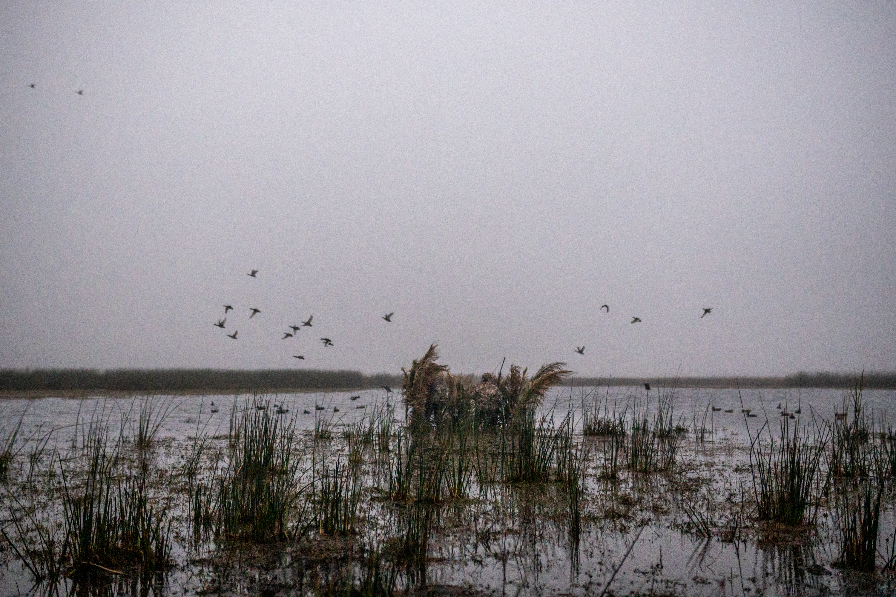 2022 - Los Picazos Lodge - PH Matias Furer - Hunting_7.jpg