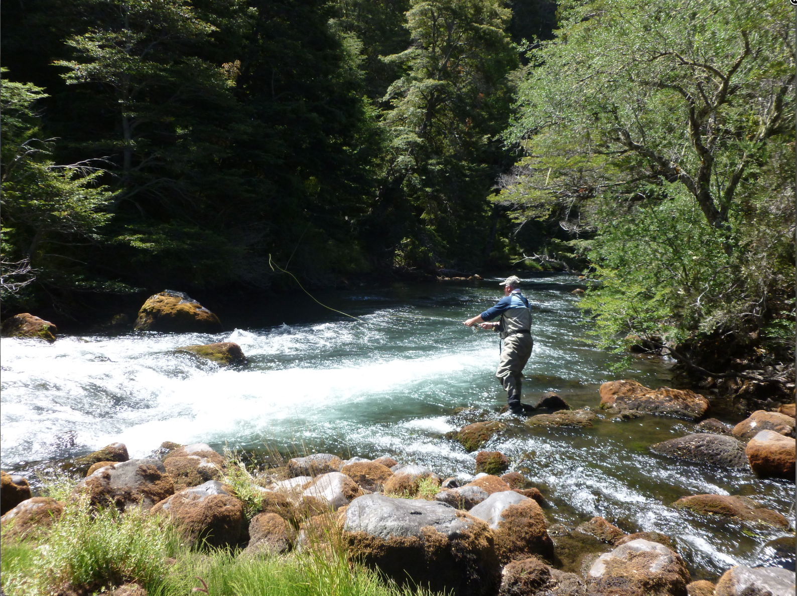 Futa Lodge-3.png
