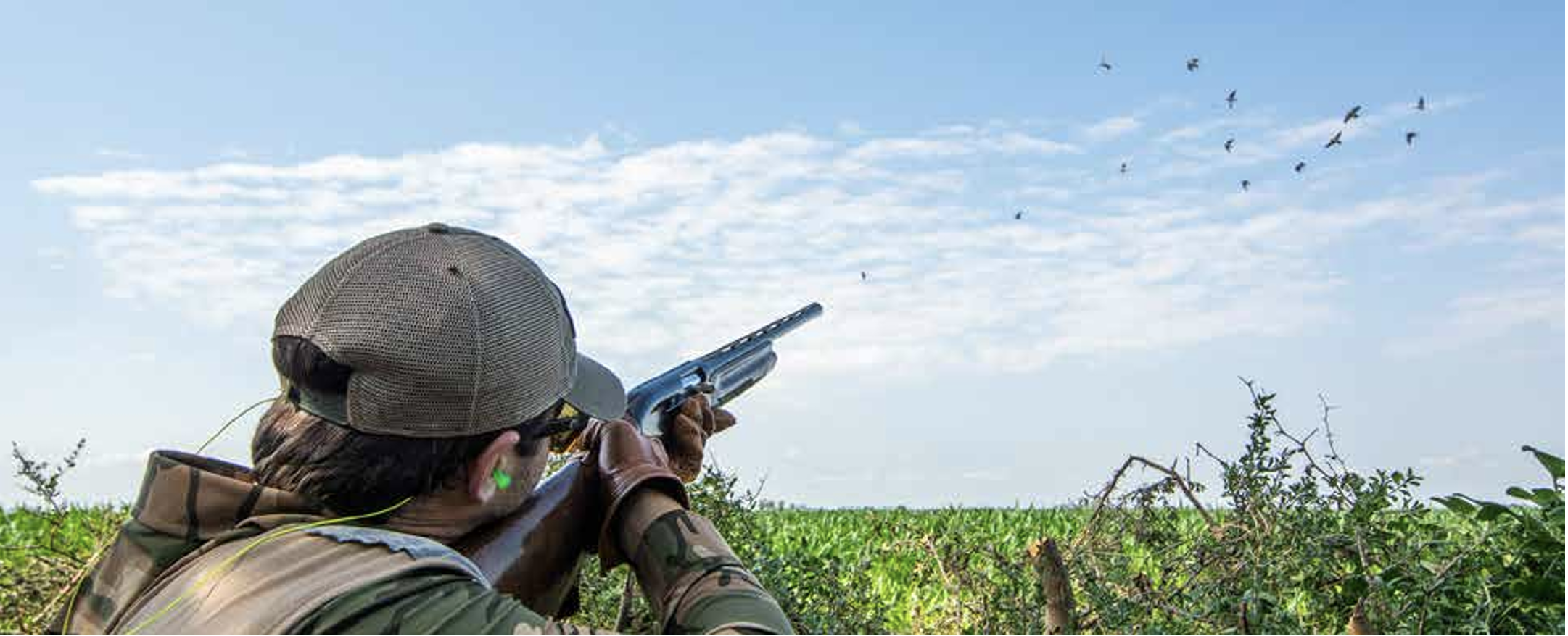 Carmelo-Dove Hunt-1.png