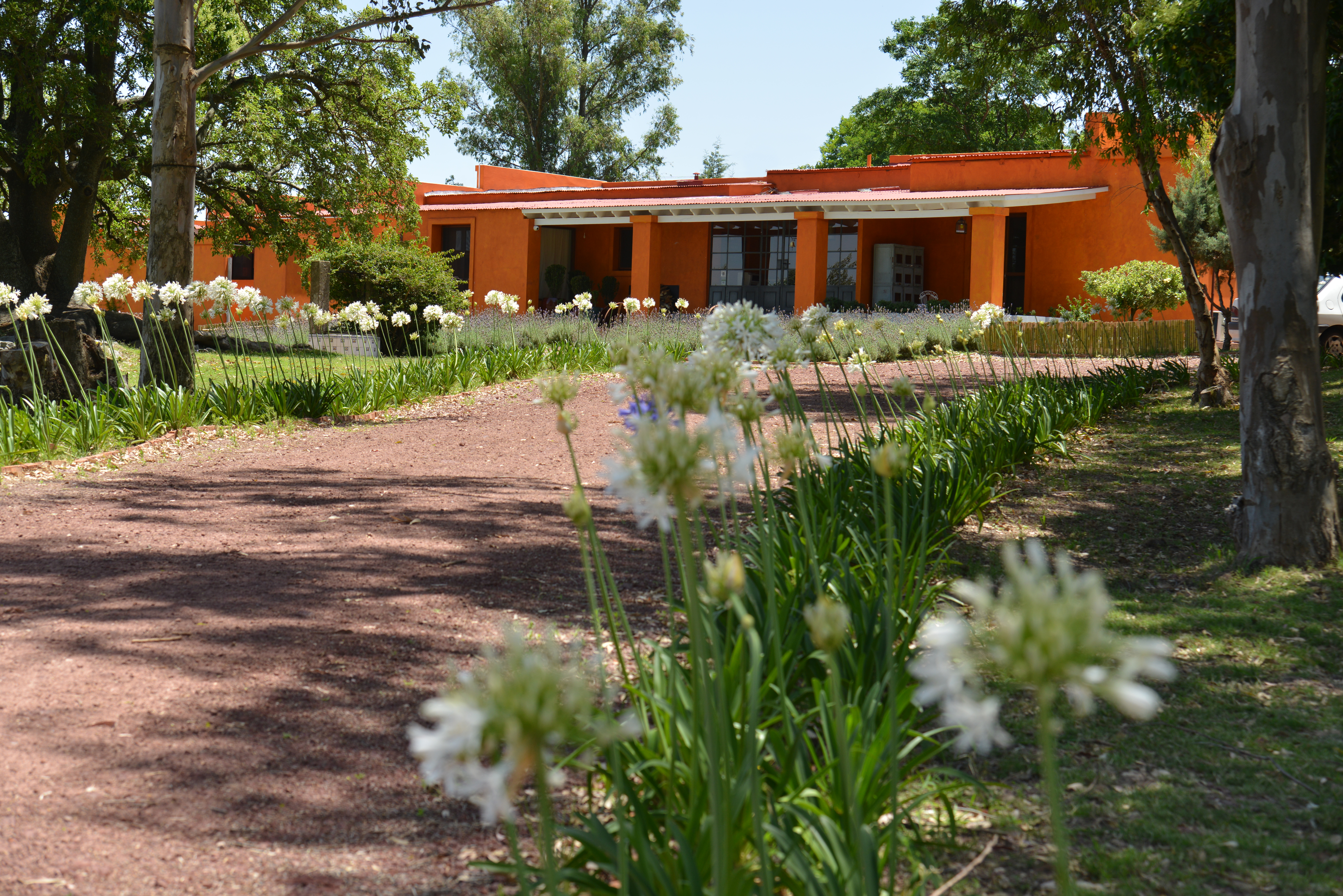 Carmelo Lodge1.jpg