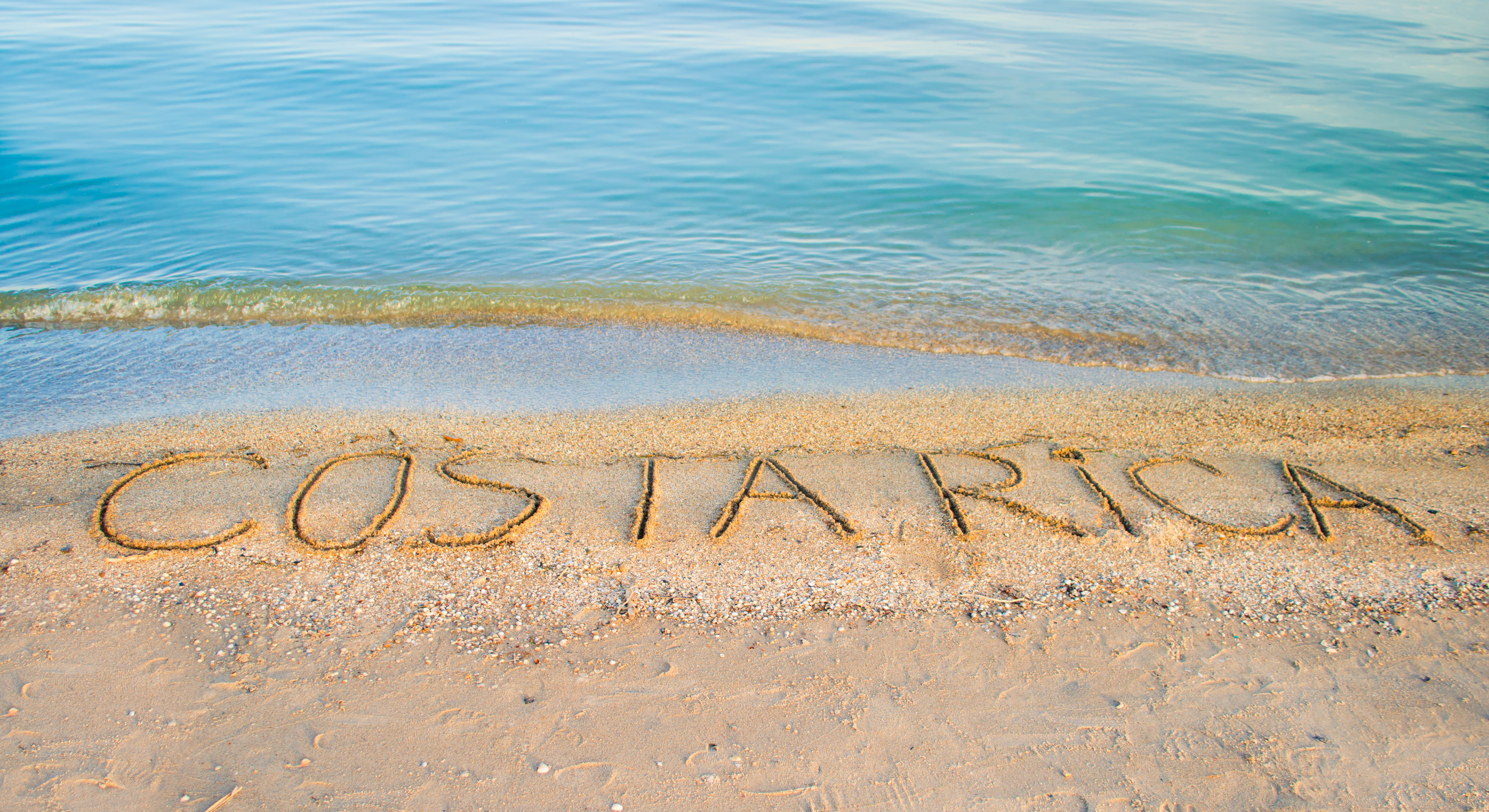 shutterstock_487216090.jpg
