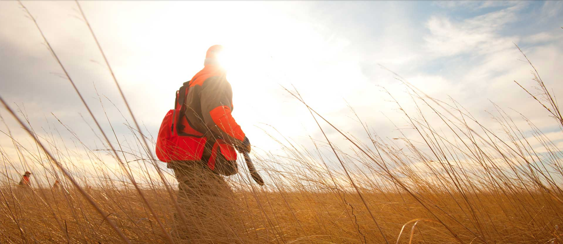 pheasant hunt-2.png