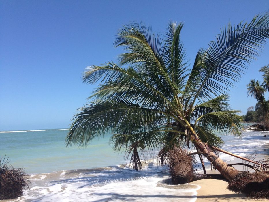 costa-rica-pura-vida-central-america.jpg