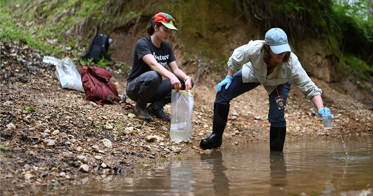 DU, Bonneville Environmental Foundation, and Meta Expand Partnership to Restore Mississippi Alluvial Valley Wetlands