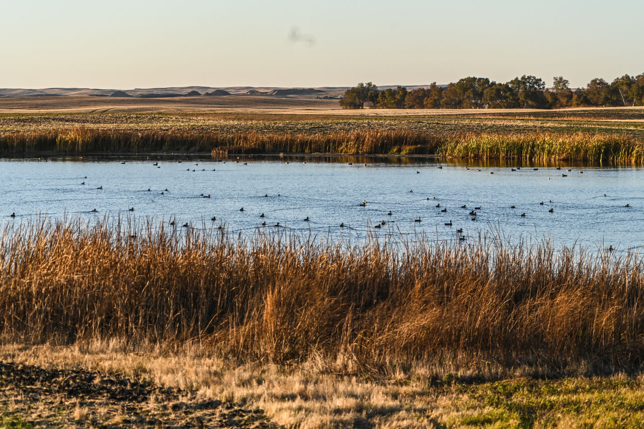 DU, Bass Pro Shops Partnership Allows Hunters and Anglers to Protect Waterfowl Habitat