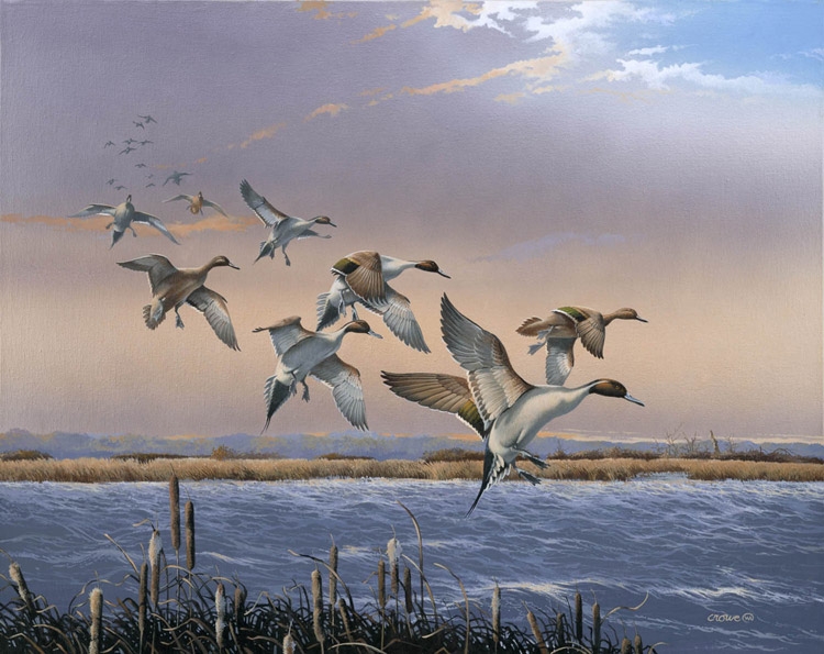 Ducks Unlimited Painting