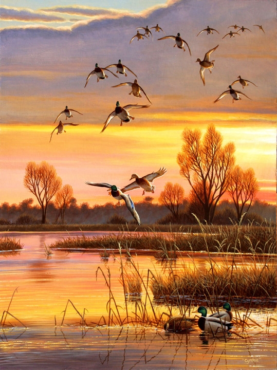 Ducks Unlimited Painting