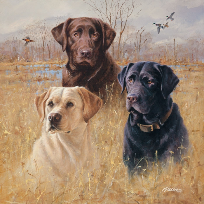 "Marsh Masters" by Jim Killen