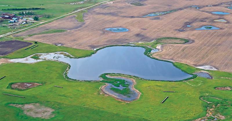 conservation_garykramer.jpg