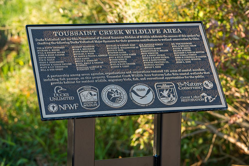 Image for Ducks Unlimited, Partners Celebrate Major Wetland Restoration at Toussaint Creek Wildlife Area