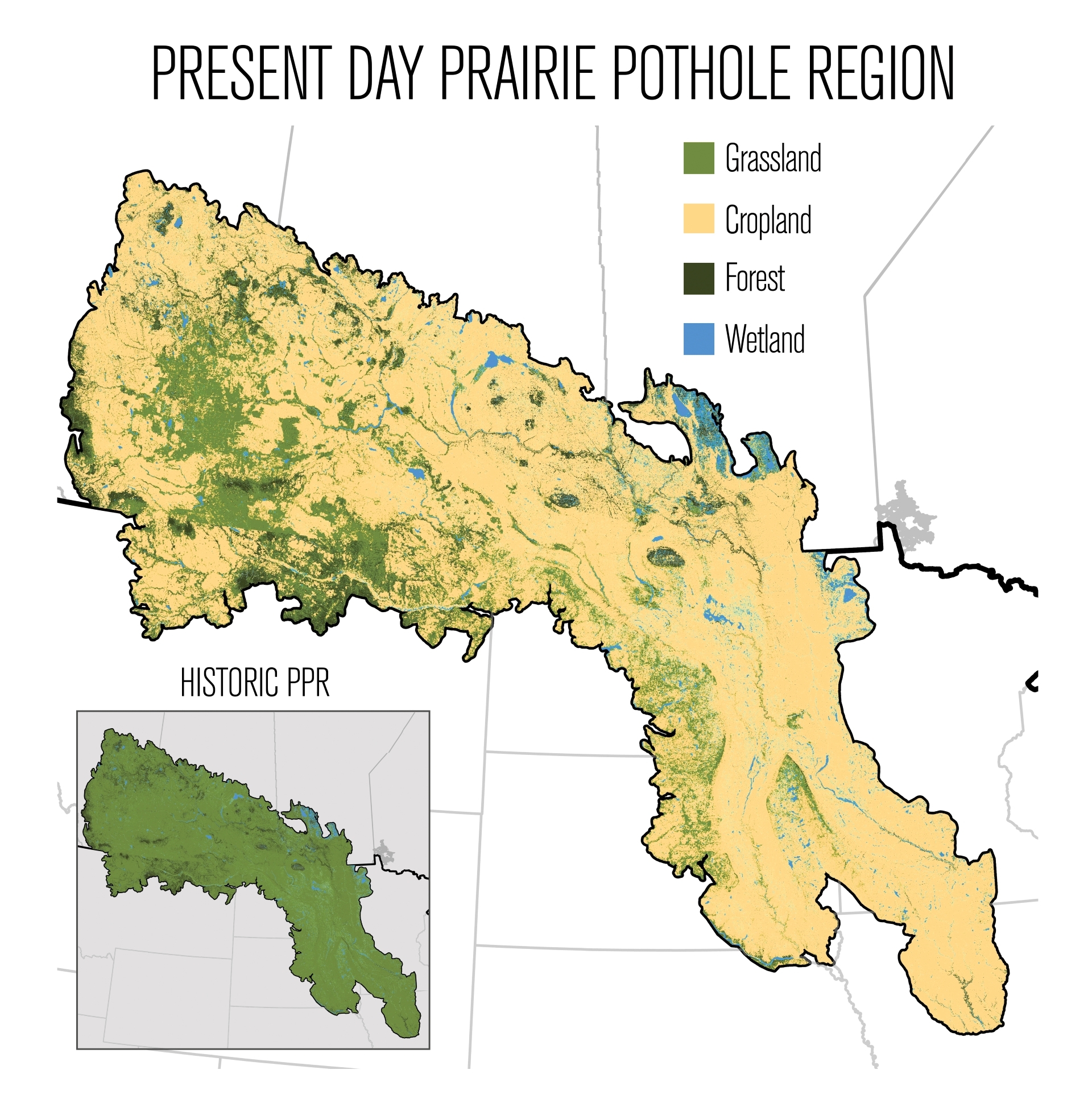 2026 Waterfowl Population Survey Results