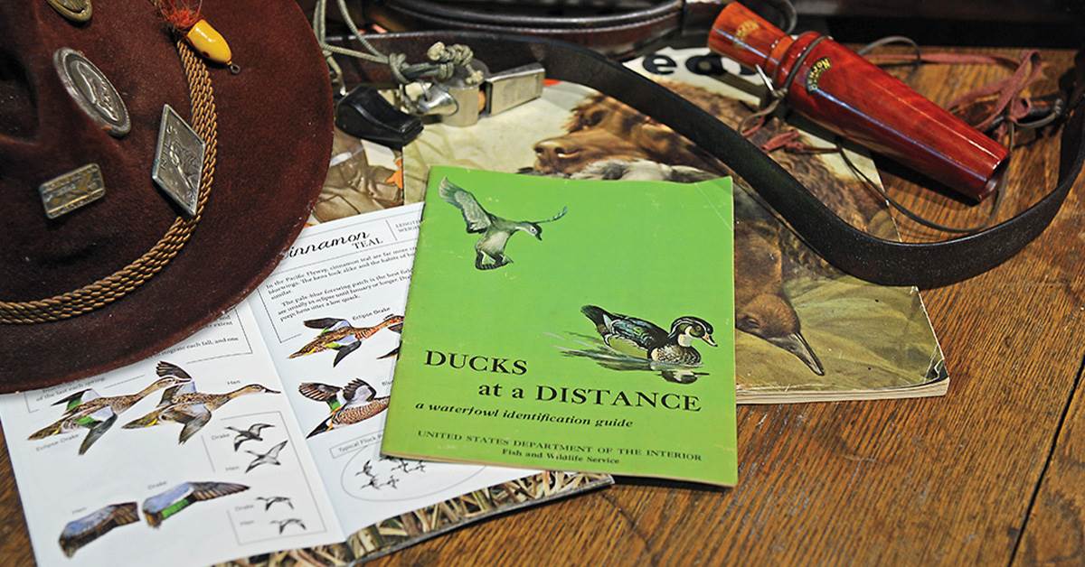 Ducks at a Distance