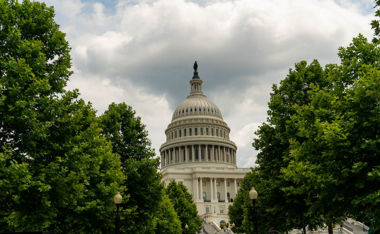 Image for House of Representatives Passes Bipartisan Farm Bill