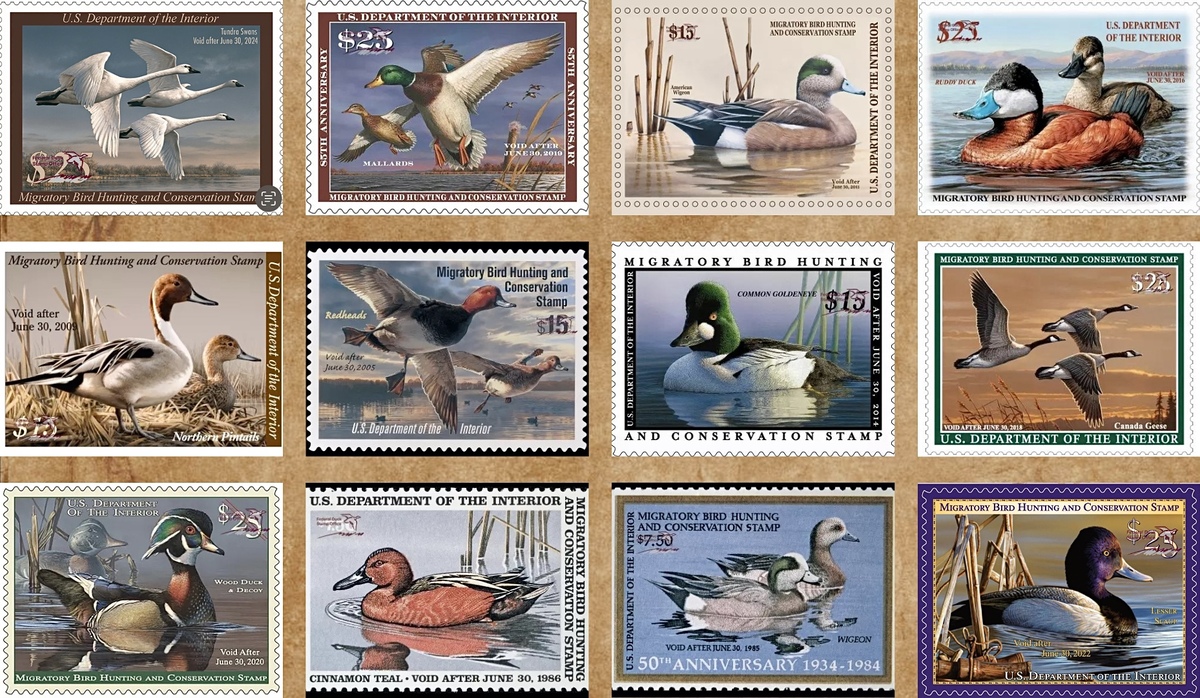 The 2023 Federal Duck Stamp Art Contest is Sept. 15 and 16