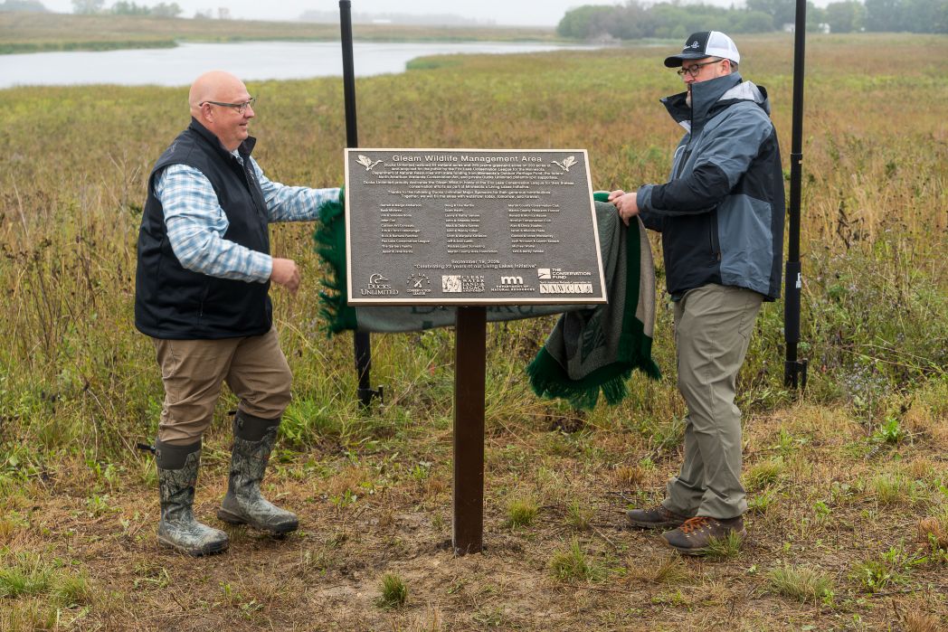 Ducks Unlimited, Partners Celebrate Transformation of Gleam Wildlife Management Area