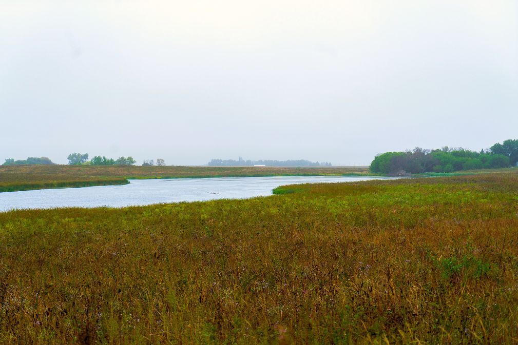 Ducks Unlimited, Partners Celebrate Transformation of Gleam Wildlife Management Area