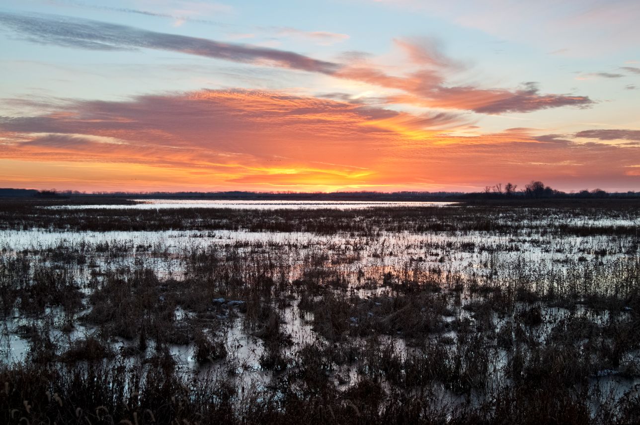 Image for More Than $6.7 Million to Support Wetland Conservation Across Michigan