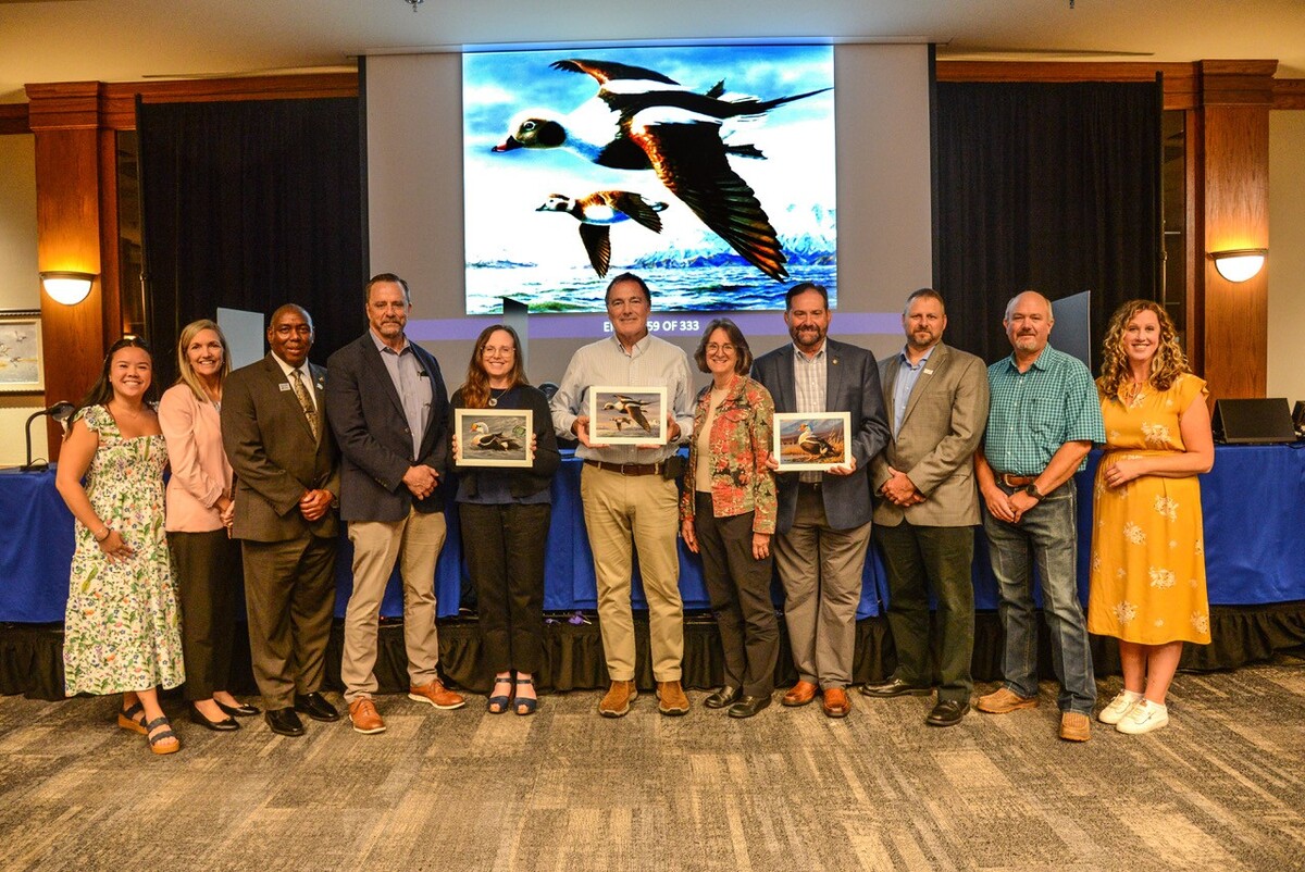 2026 Federal Duck Stamp Winner Announced During Annual National Contest at Ducks Unlimited Headquarters
