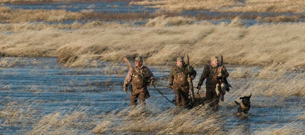 Hunters walking in the Marsh
