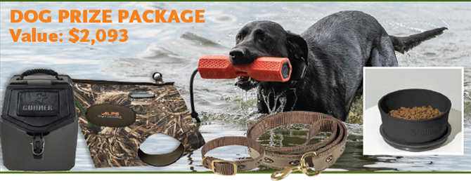 3rd Prize: Dog Package