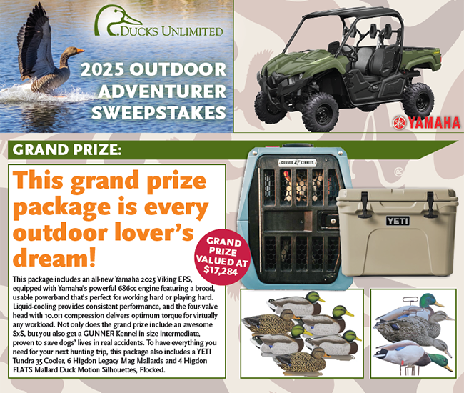 2025 Grand Prize