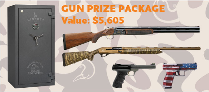 Gun Prize Package