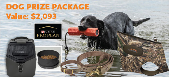 Dog Prize Package