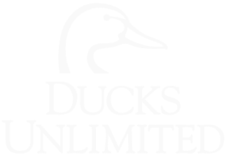 logo_group.png