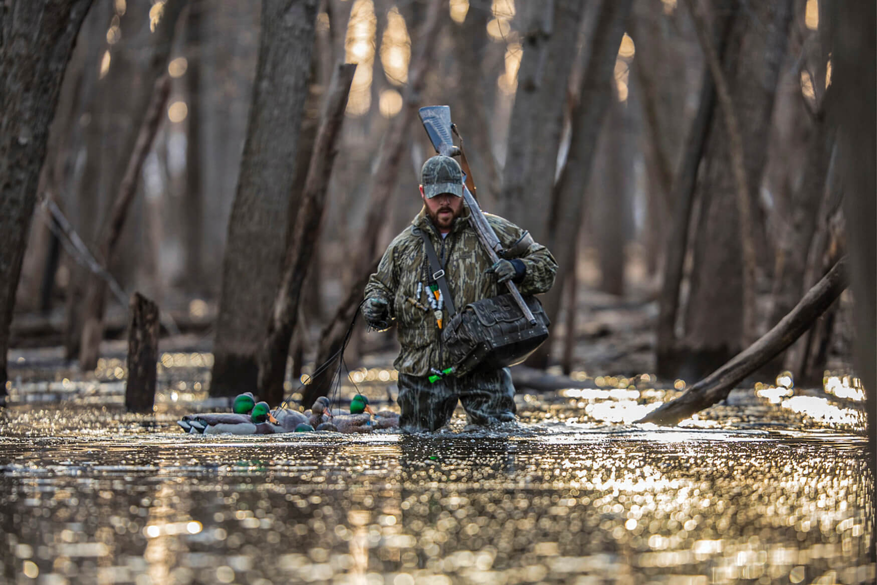 Duck Hunting - Waterfowl Migration