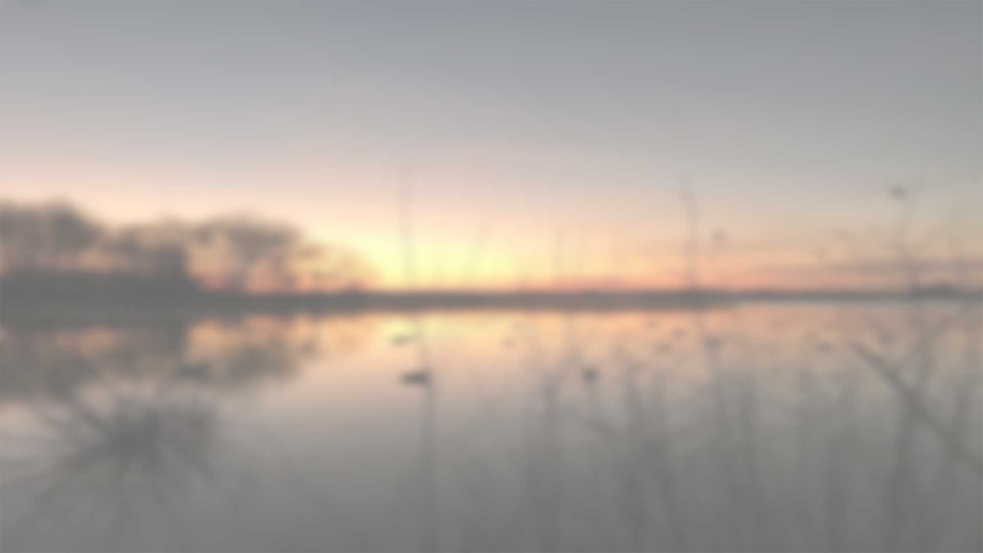 Ducks Unlimited Fall 2022 Sweepstakes Official Rules Ducks Unlimited ducks-unlimited-fall-2022-sweepstakes-official-rules-ducks-unlimited