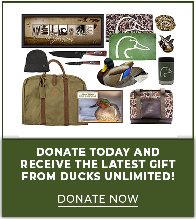 Make a donation